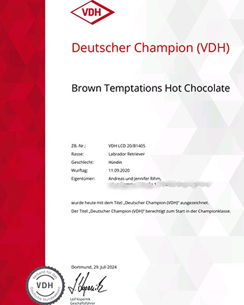 Heidelberg Hills Labradors