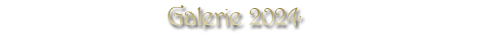 Galerie 2024